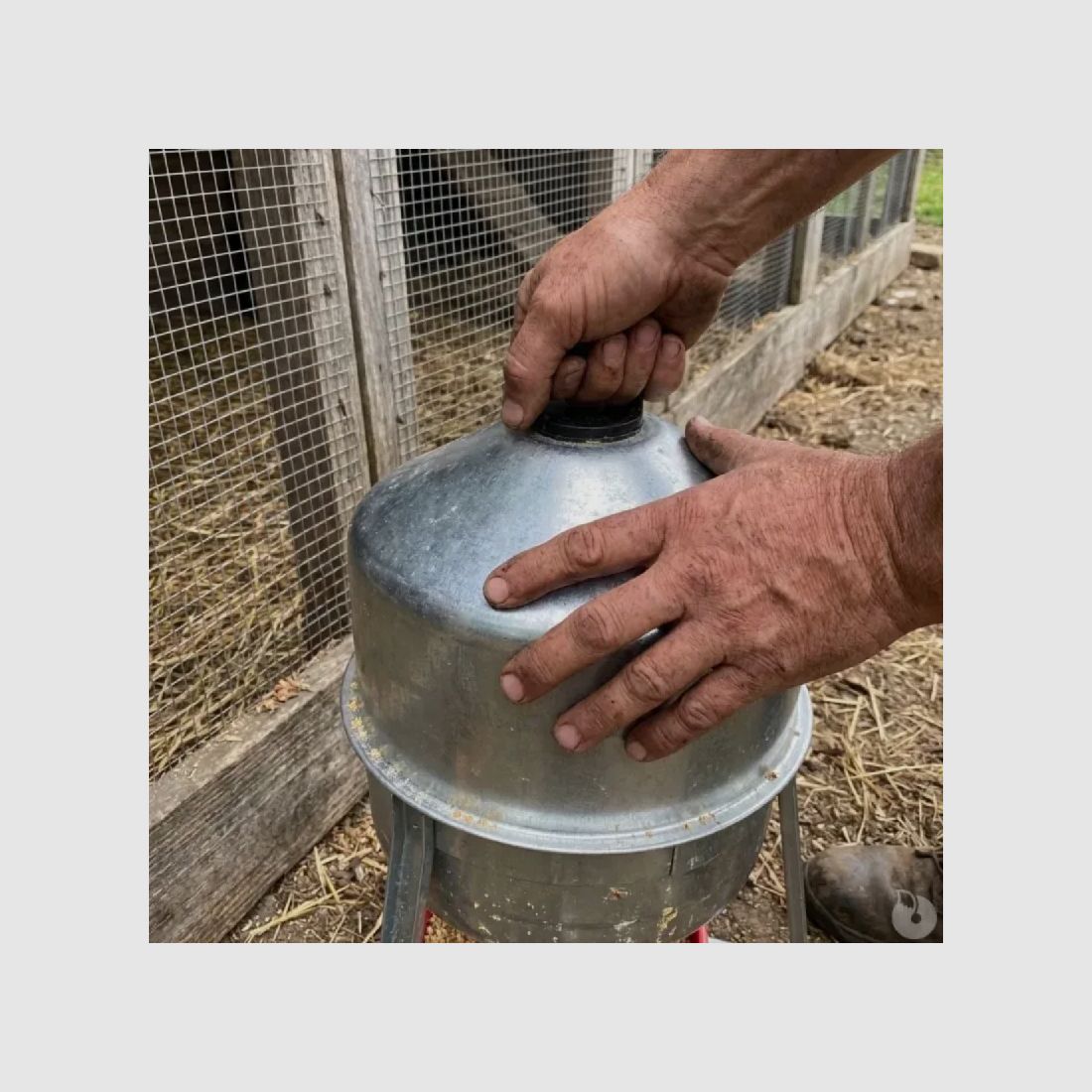 Abtränkstelle 30 L + schädlingsgeschützte Futterstation Feedomatic 20 kg, Bild 10 von 13