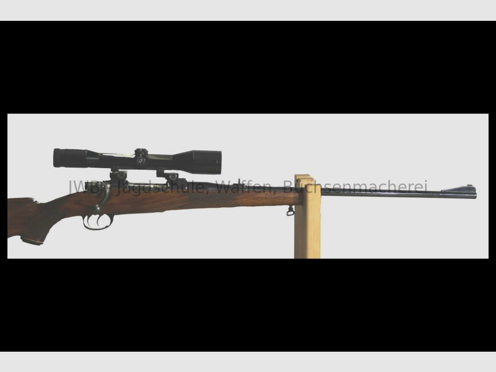 Forest System 98 .243Win