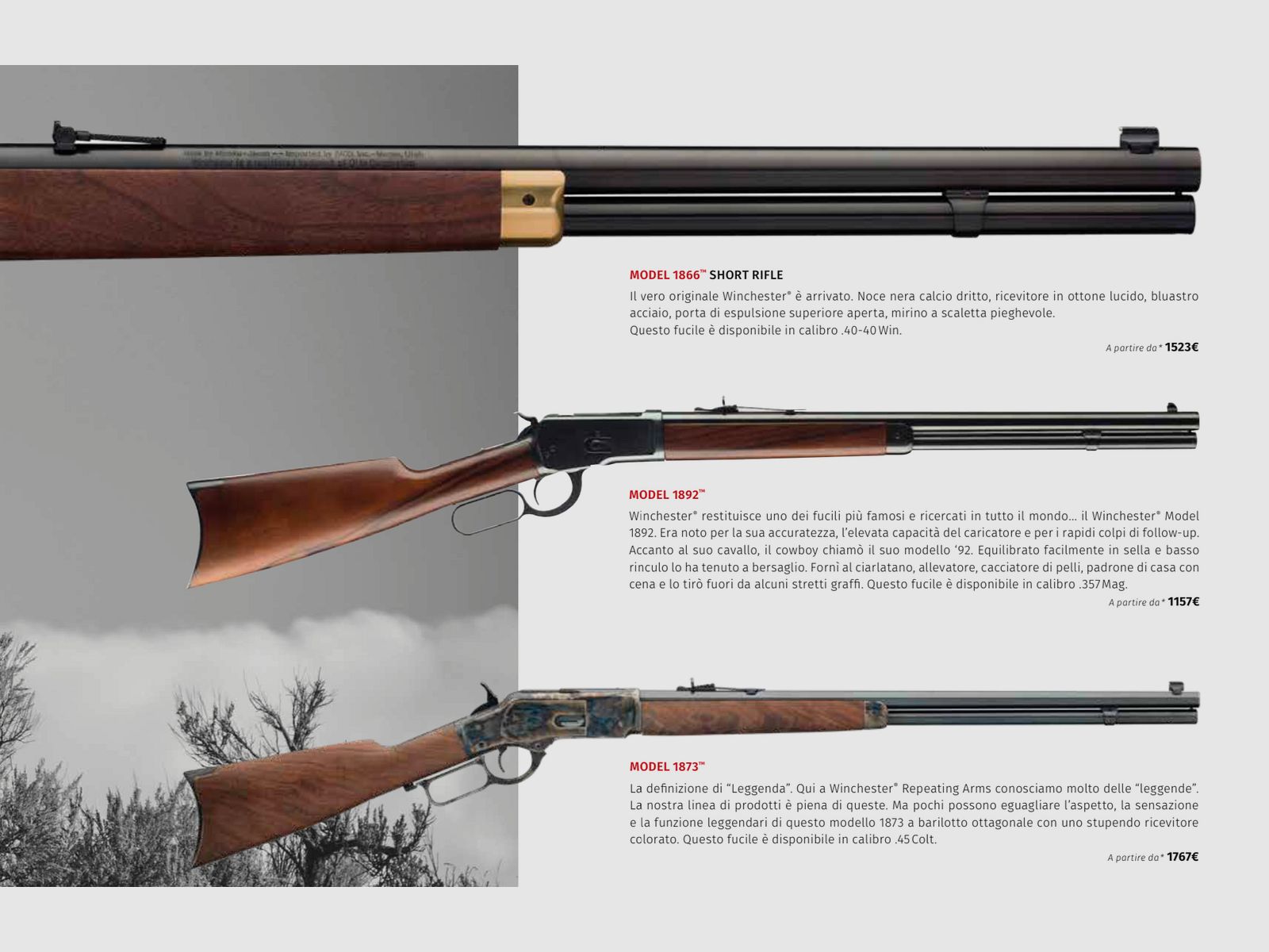 WINCHESTER / POMPGEWEER - BOLT ACTION KARABIJNEN – LEVER ACTION / ALLE MODELLEN, afbeelding 18 van 18