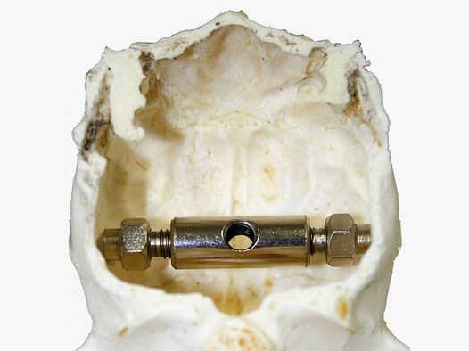 Hinge clamp for fallow deer