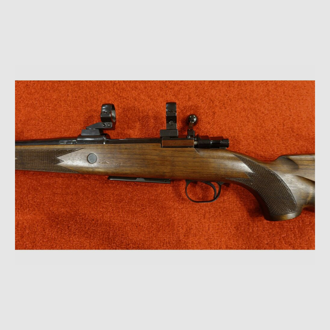 Santa Barbara Mod.1000 .243Win