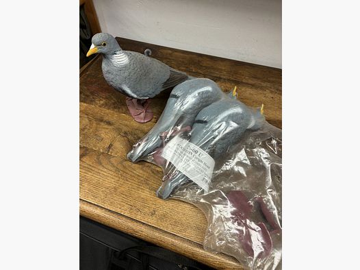 Sport Plast Locktaube