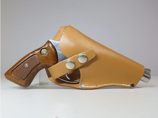 Taurus 94 in Stainless incl. Holster!