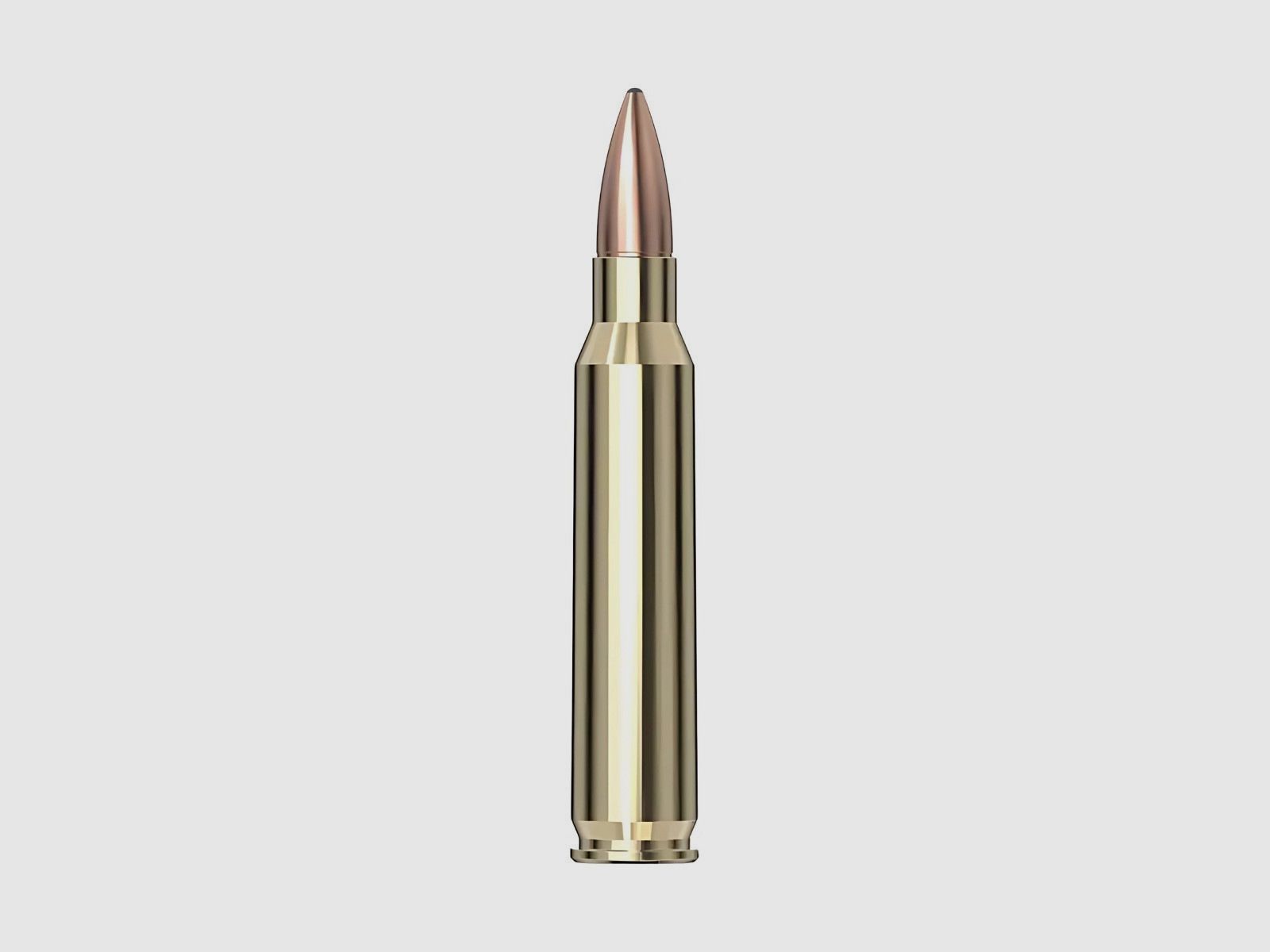 .223 Rem Swiss P FMJ DS-1 55gr, zdjęcie 2 z 2