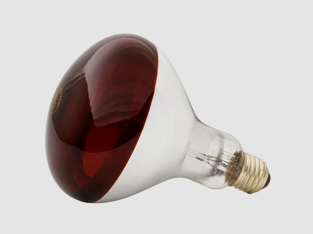 Ampoule chauffante infrarouge 150 W, image 1 sur 4
