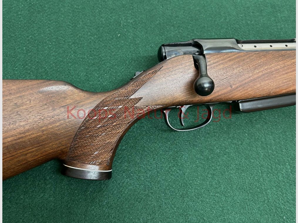 Sauer 80