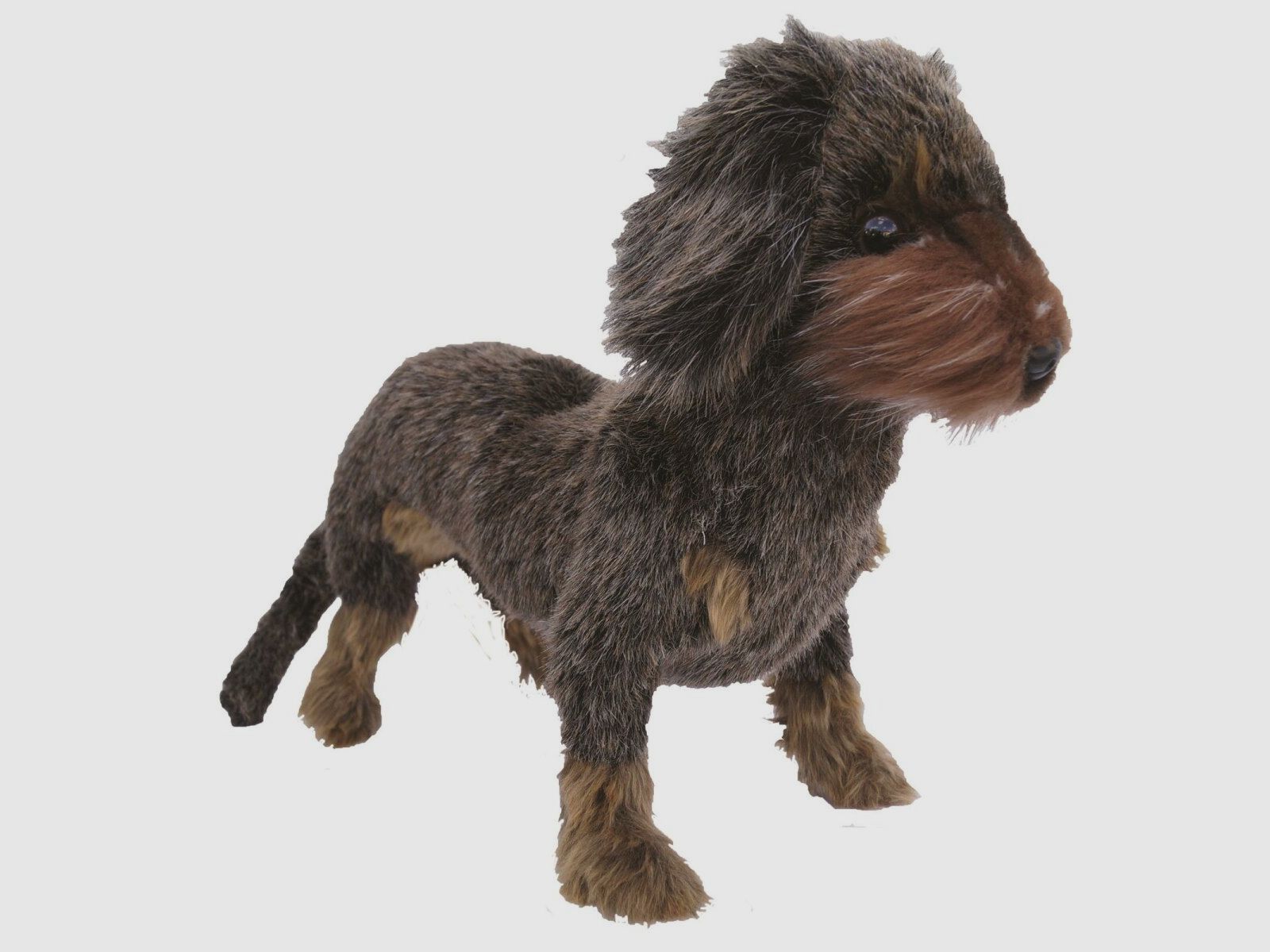 Lovergreen piccoli extra motivo peluche bassotto