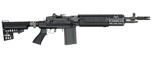 Ares M14 EBR FS