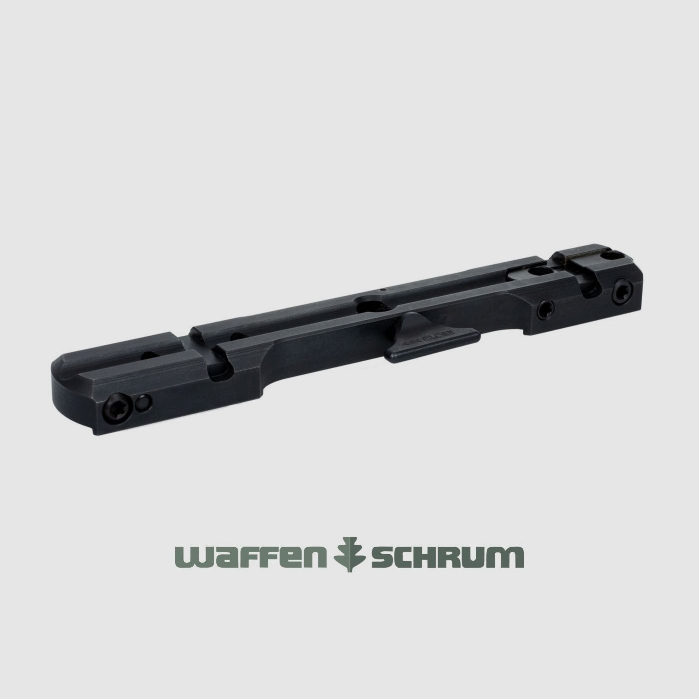 Dentler Grundschiene BASIS VARIO für Blaser