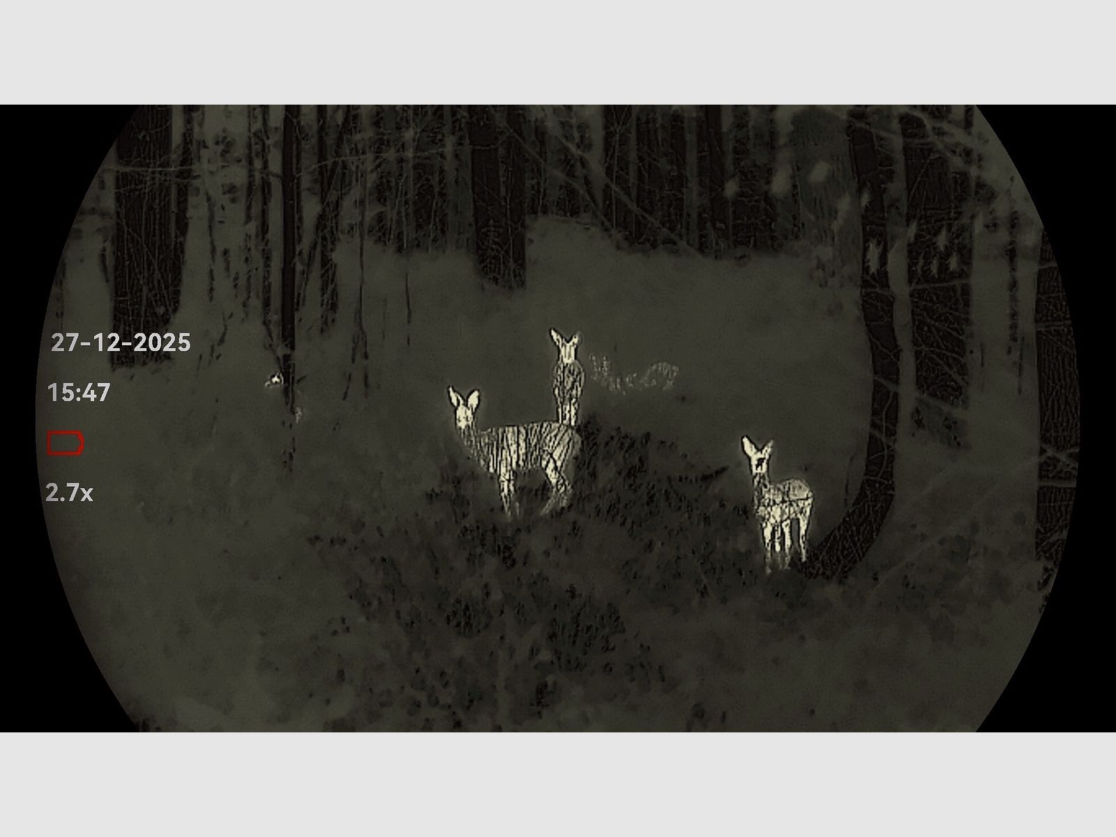 HIKMICRO Falcon FQ50 2.0 - OVP - caméra thermique