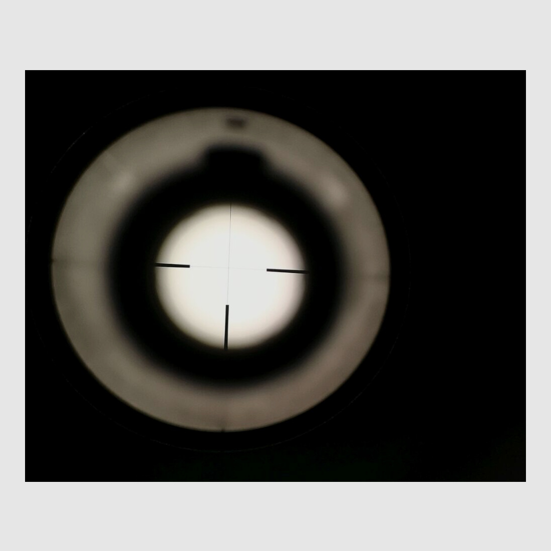 Heym * Left-Handed Weapon * SR 30 Boar with Schmidt & Bender Scope Zenith 2.5-10x56