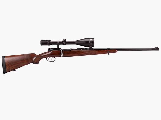 Steyr Mannlicher Schönauer 1950