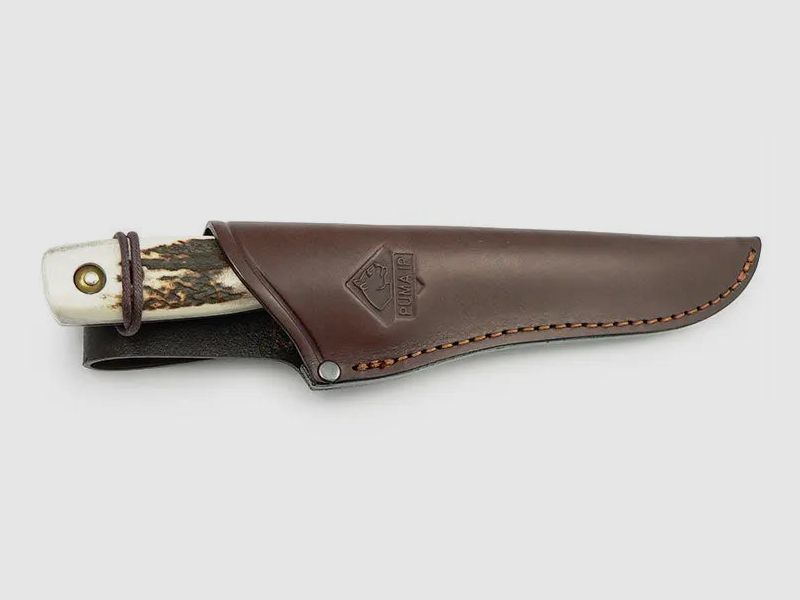 PUMA IP damwild, stag