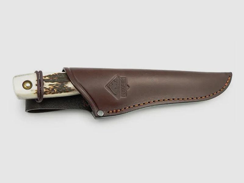 PUMA IP fallow deer, stag