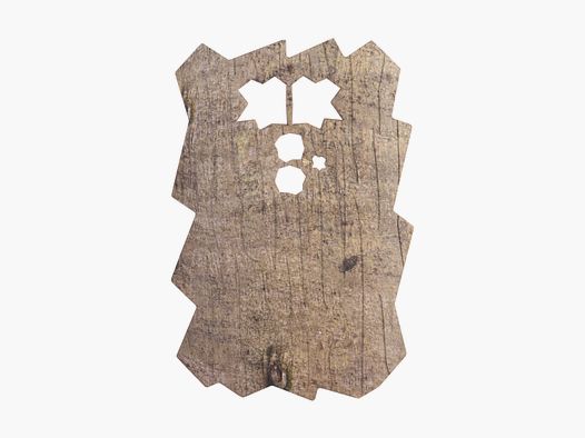 Minox DTC 460 Trail Camera Front Cover Beech