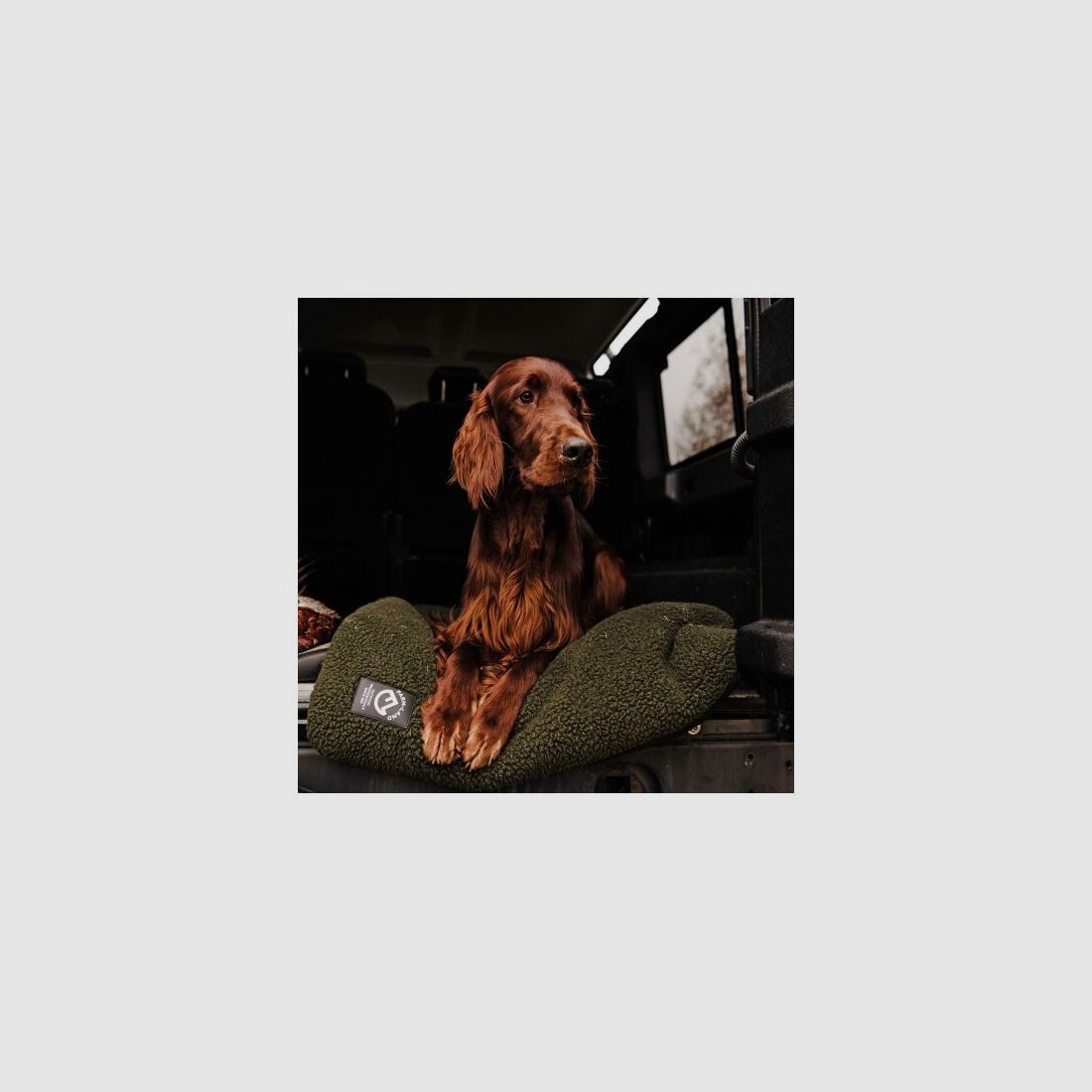 Farm-Land dog blanket fleece 70x100cm olive