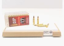 Hornady XTP 1.3g/20grs at 50 .17HMR