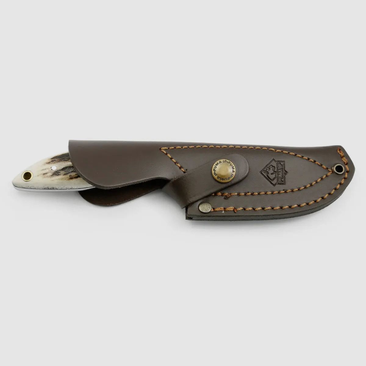 PUMA IP farkas, cuerno de ciervo