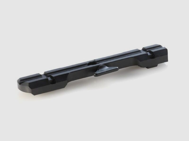 Dentler Grundschiene Basis