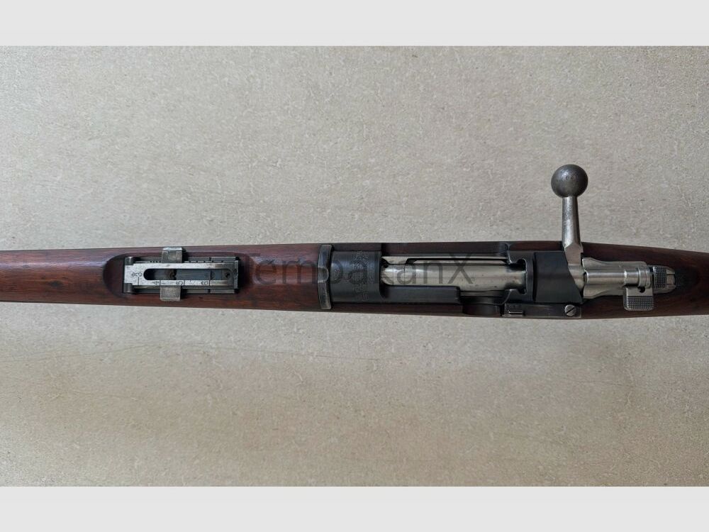 Carl Gustafs Mauser 96 6.5x55SE