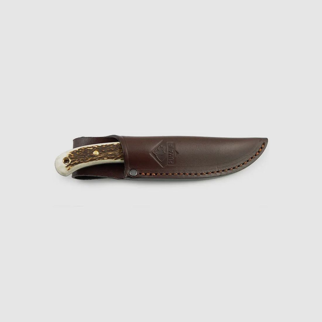 PUMA IP catamount, cervo