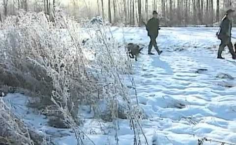 Erntetag im Niederwildrevier Wobbler Jagen   YouTube