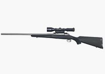 Savage 12