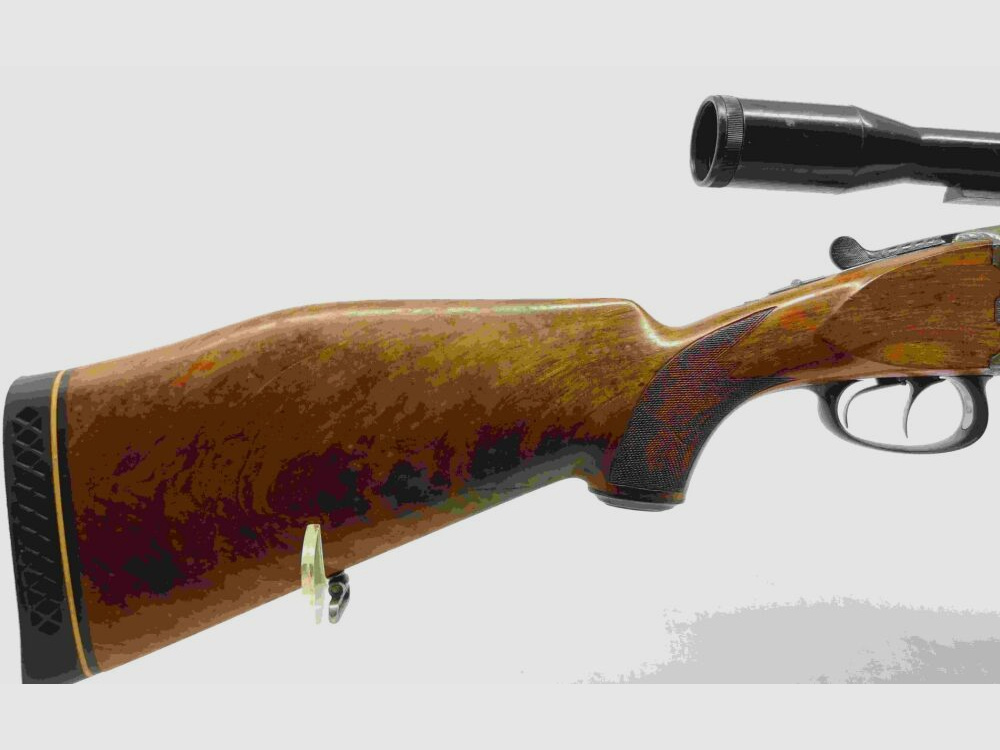 Esha R. Flückiger Schweiz - Bockbüchse m. Wechsellauf