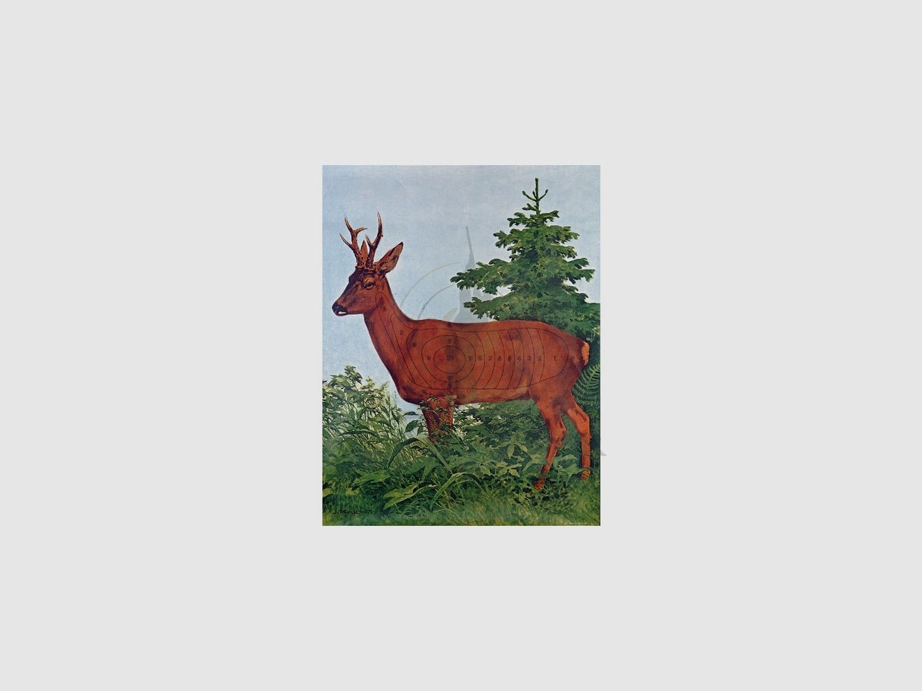 Cel myśliwski Sarny Stary Stojący 86x112 z Lusterkiem