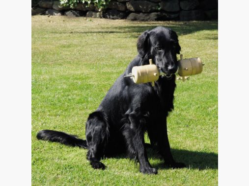 il Lago Passion Apportierbock Jagd-Gebrauchshund |