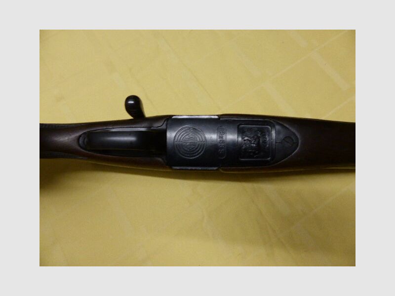 Steyr Mannlicher	 Modell S