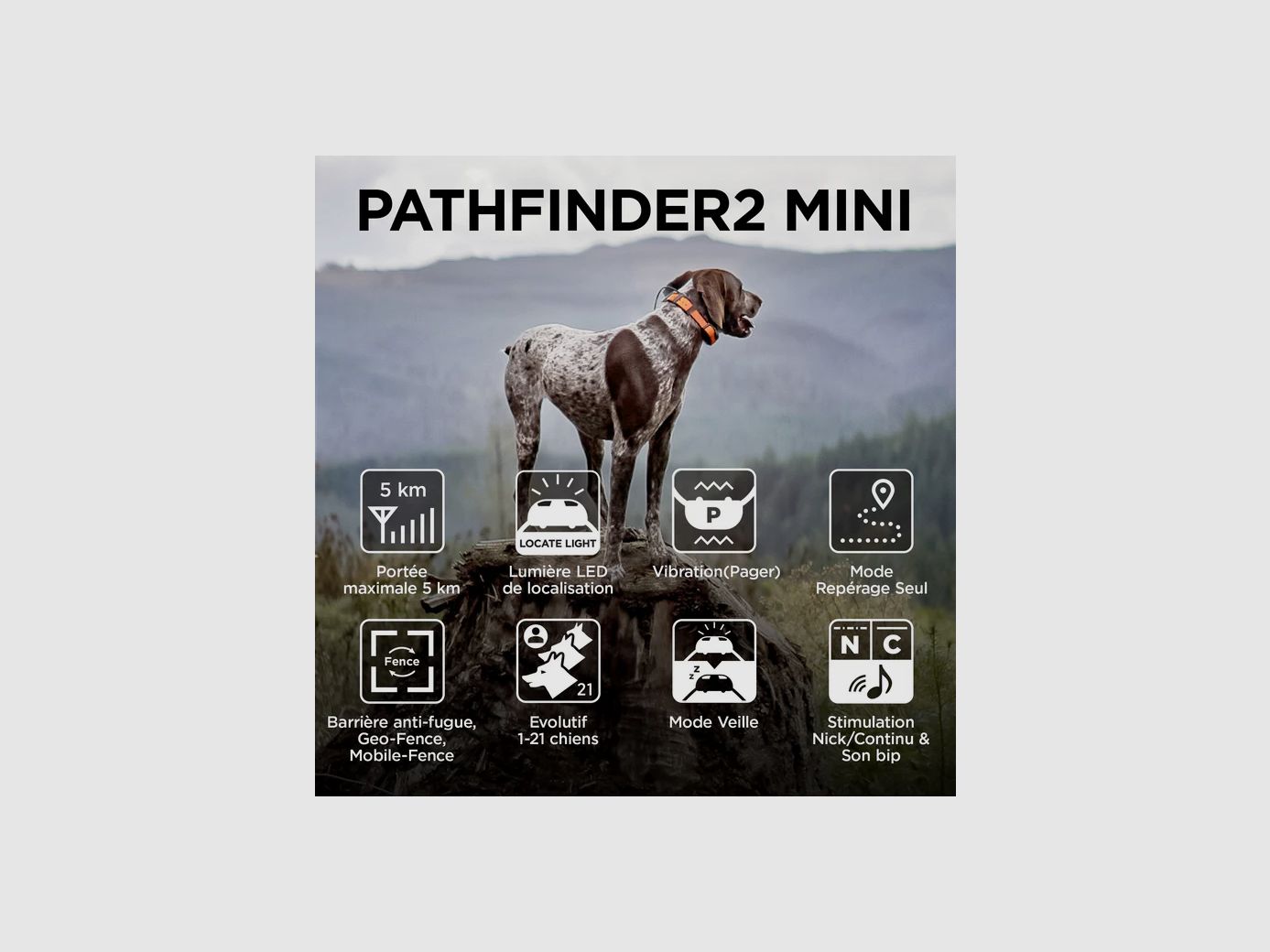 Collare di localizzazione DOGTRA PATHFINDER 2 MINI, immagine 2 di 6