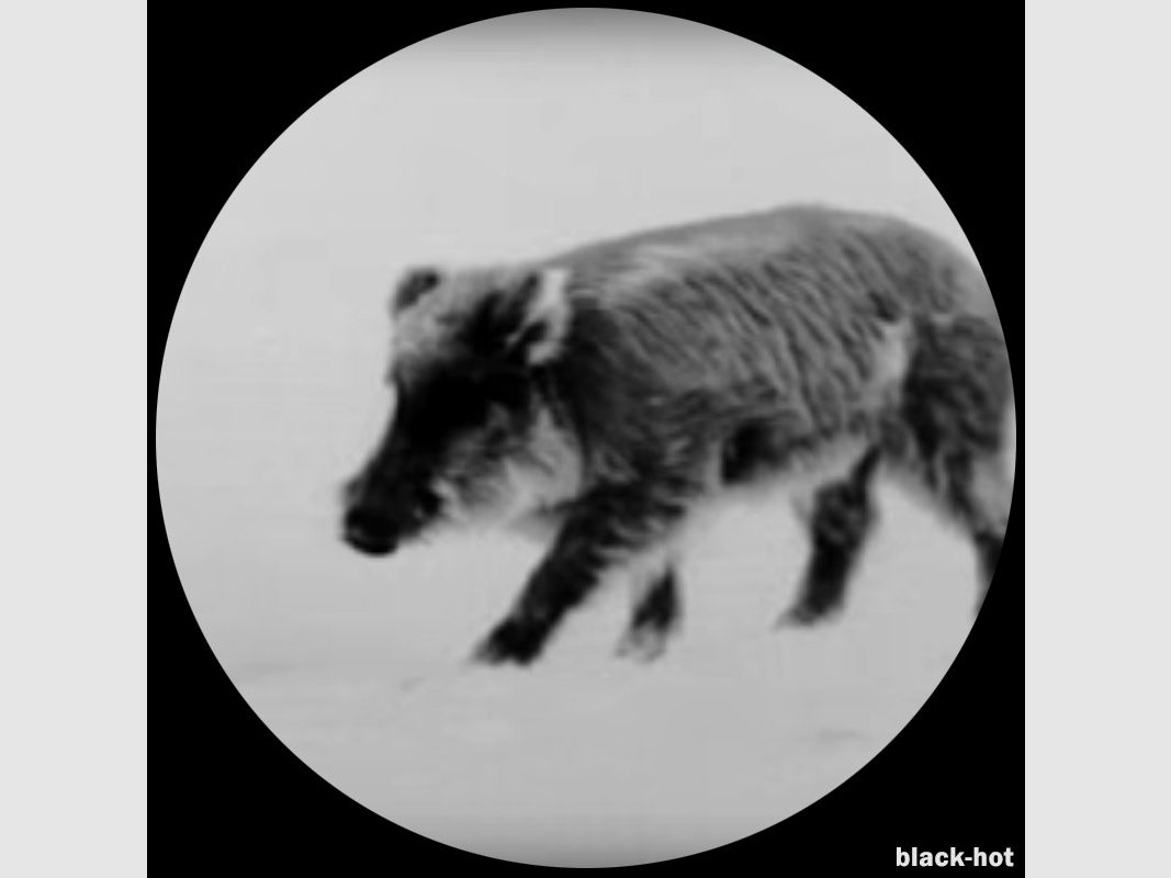 Lahoux Spotter Elite 50V thermal imaging camera