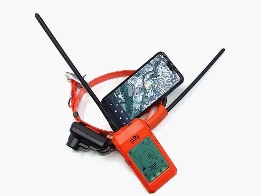 DogTrace X30B Kit – GPS/Beeper Halsband