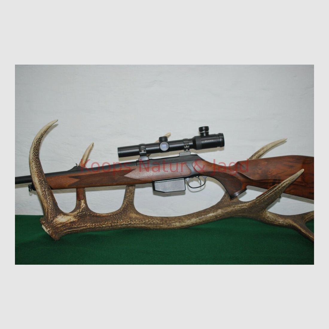Sauer 202 Forest