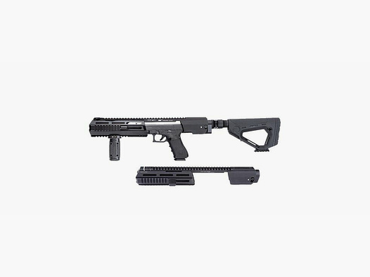 H.E.R.A - Arms TRIARII Hera Arms avec crosse CCS - CZ SP01