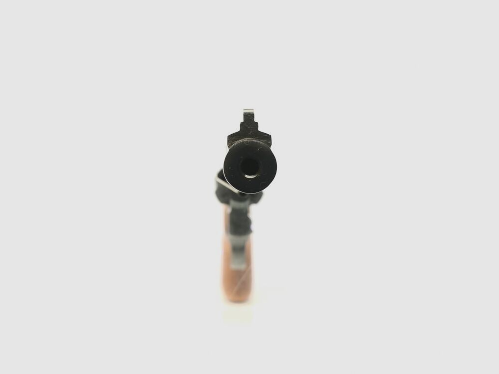 Taurus M96