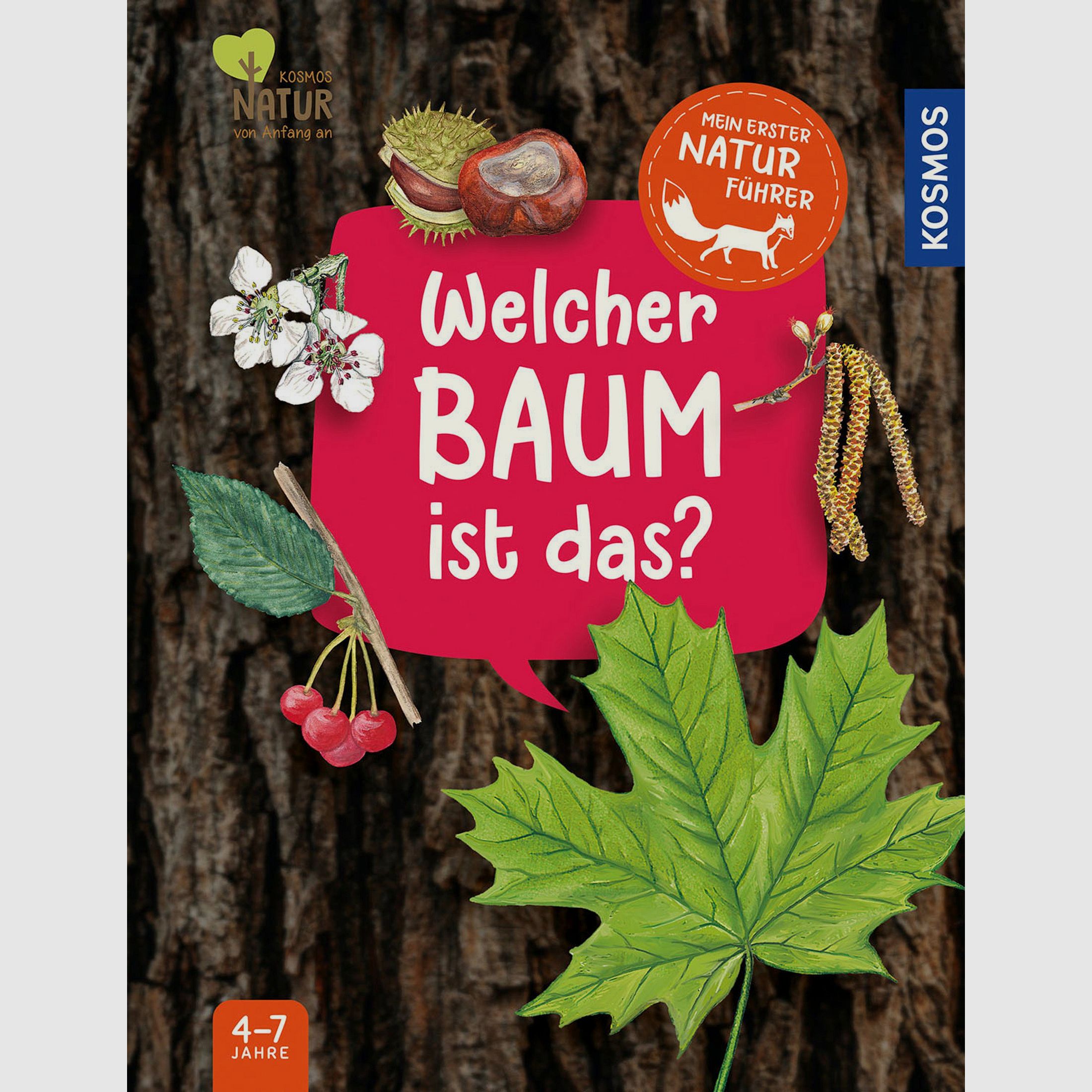 Mein erster Naturführer – Welcher Baum ist das?