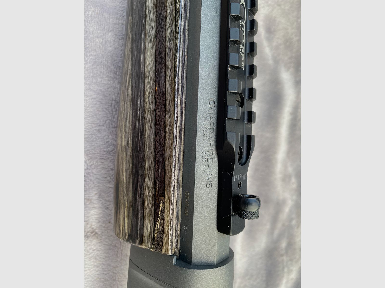 Chiappa Wildlands 45-70 Government, Take Down