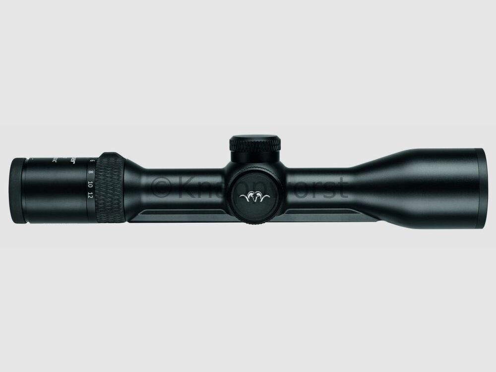 Blaser-Waffen Blaser B2 2-12x50 iC S