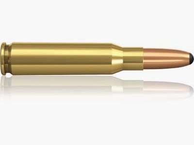 Norma .308 Win. Alaska 180 gr.