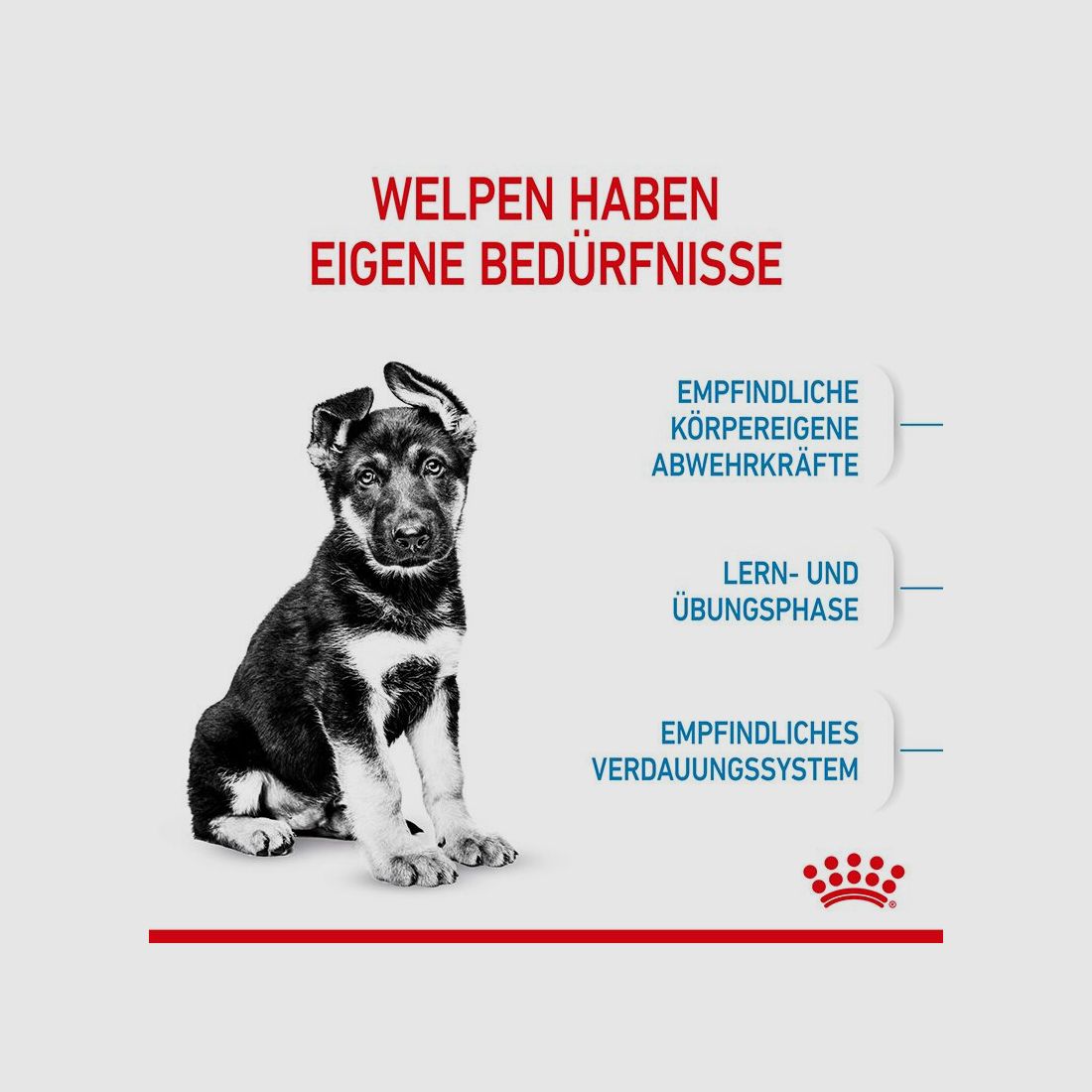 ROYAL CANIN Große Hunde Trockenfutter Maxi Welpen 15 Kg