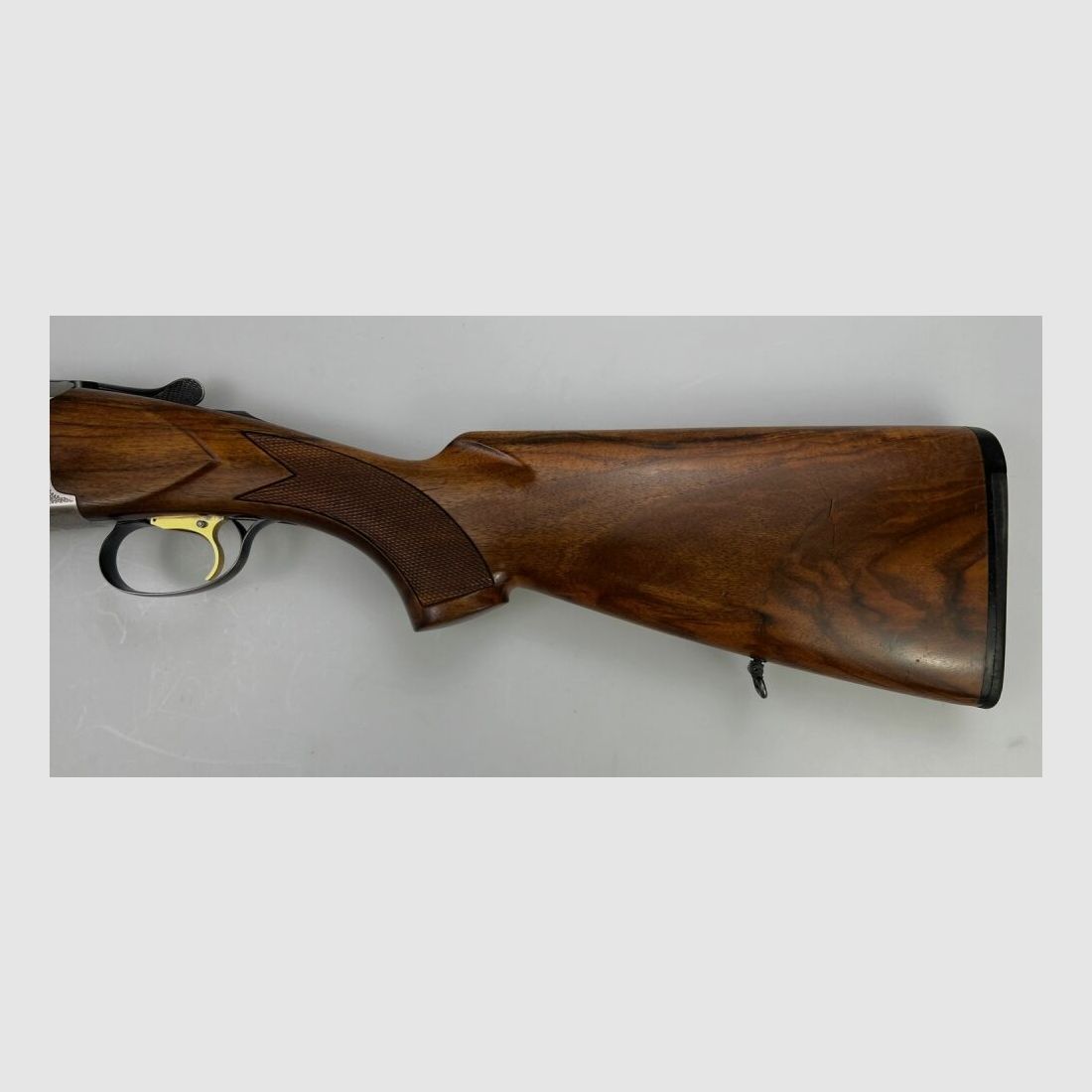 Sauer-Franchi Favorit