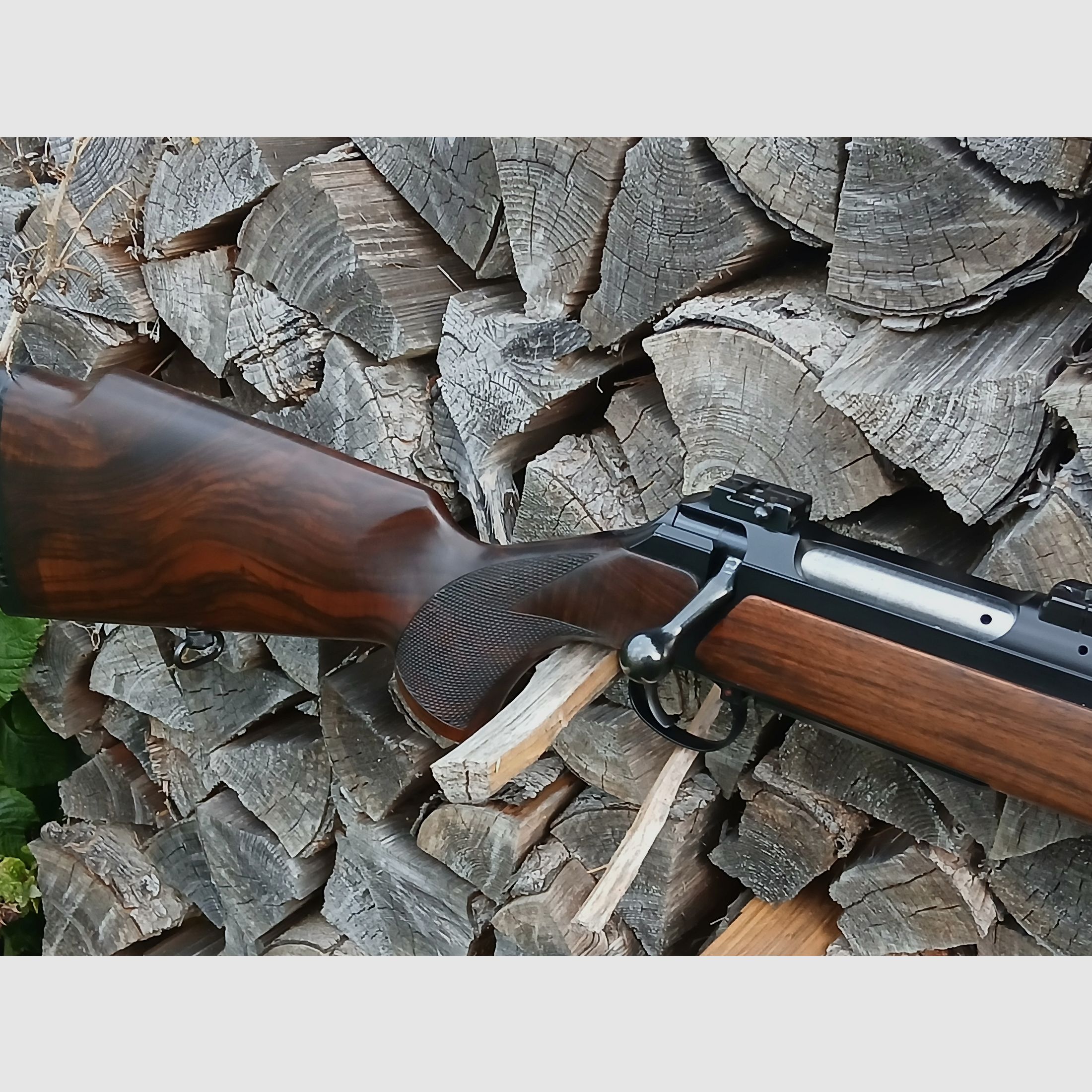 Sauer 200
