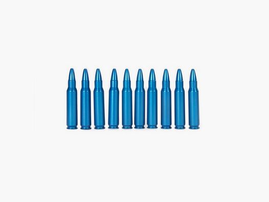 10 blank cartridges 308Win blue