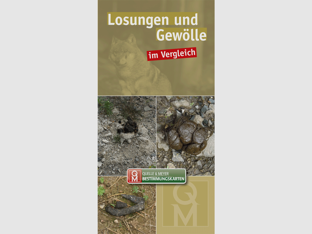 Bestimmungskarte „Losungen und Gewölle im Vergleich“