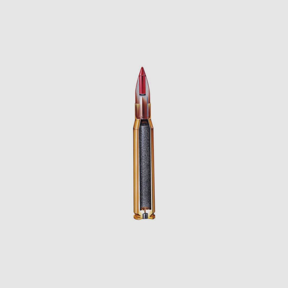 HORNADY KK-Munition .17HMR NTX Varmint Express 50 Stk  1,1g/15grs  bleifrei