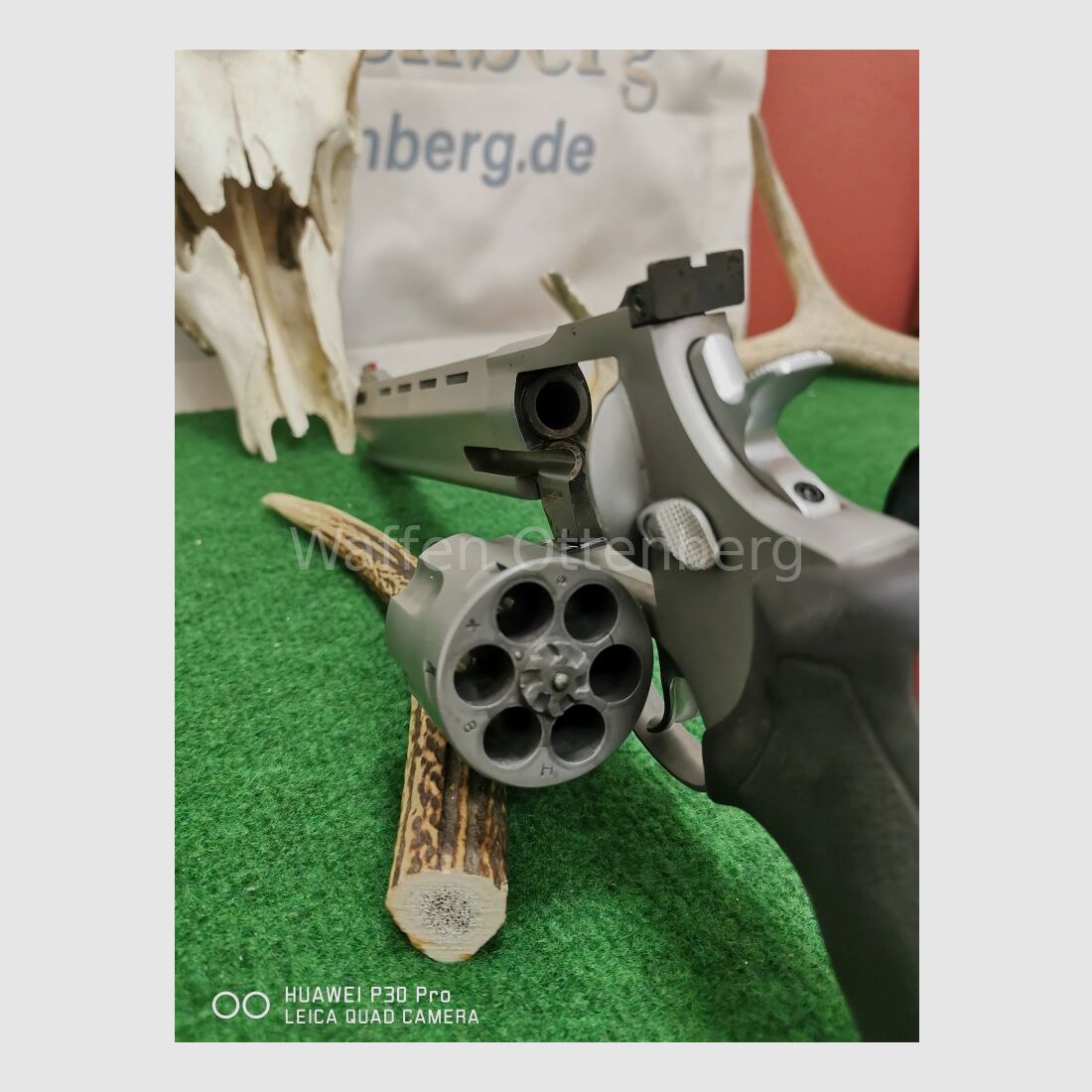 Taurus Raging Bull