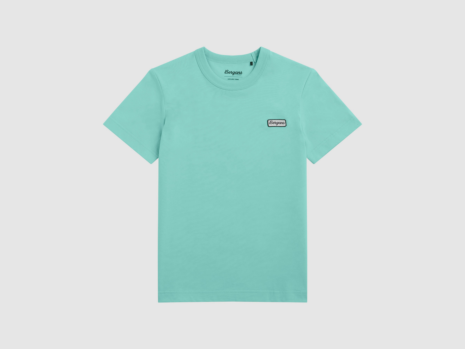 Bergans Logo Cotton Tee Women Cool Mint L