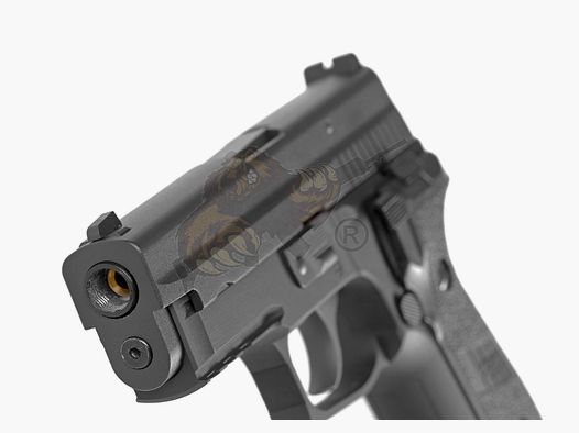 WE F229R Full Metal GBB -F-